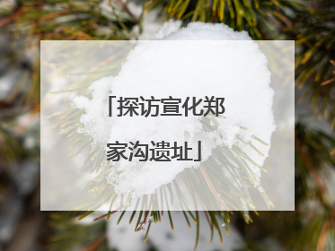 探访宣化郑家沟遗址