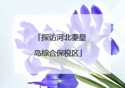 探访河北秦皇岛综合保税区