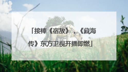 接棒《宿敌》，《藏海传》东方卫视开播即燃