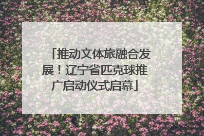 推动文体旅融合发展！辽宁省匹克球推广启动仪式启幕