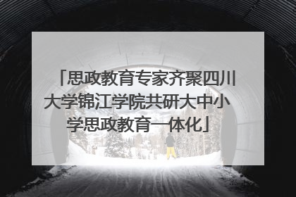 思政教育专家齐聚四川大学锦江学院共研大中小学思政教育一体化