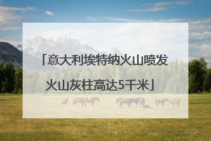 意大利埃特纳火山喷发 火山灰柱高达5千米