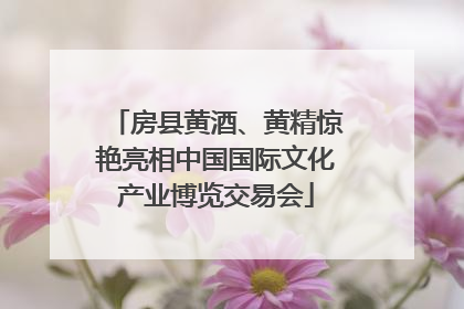 房县黄酒、黄精惊艳亮相中国国际文化产业博览交易会