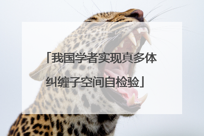 我国学者实现真多体纠缠子空间自检验