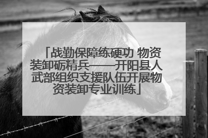 战勤保障练硬功 物资装卸砺精兵——开阳县人武部组织支援队伍开展物资装卸专业训练