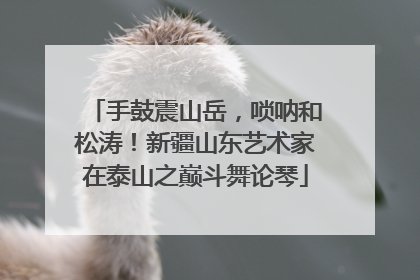手鼓震山岳，唢呐和松涛！新疆山东艺术家在泰山之巅斗舞论琴