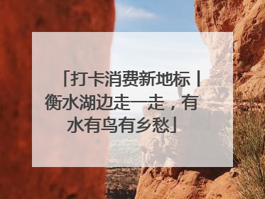 打卡消费新地标丨衡水湖边走一走，有水有鸟有乡愁