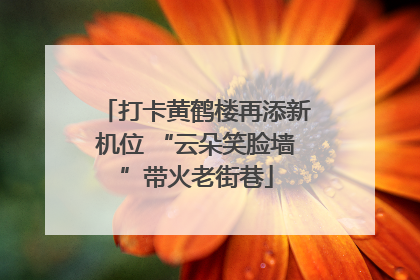 打卡黄鹤楼再添新机位 “云朵笑脸墙”带火老街巷