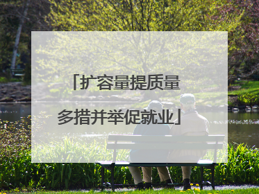 扩容量提质量 多措并举促就业