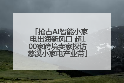 抢占AI智能小家电出海新风口 超100家跨境卖家探访慈溪小家电产业带