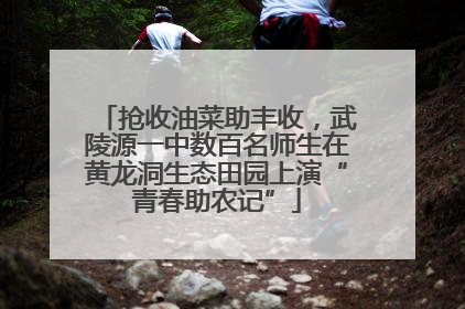 抢收油菜助丰收，武陵源一中数百名师生在黄龙洞生态田园上演“青春助农记”