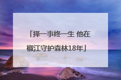 择一事终一生 他在椒江守护森林18年