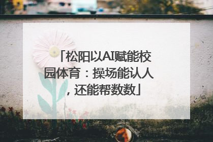 松阳以AI赋能校园体育：操场能认人，还能帮数数