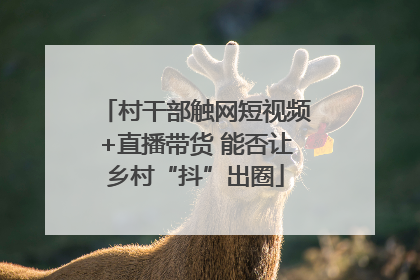 村干部触网短视频+直播带货 能否让乡村“抖”出圈