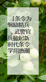 条令为纲励精兵，武警官兵掀起新时代条令学用热潮