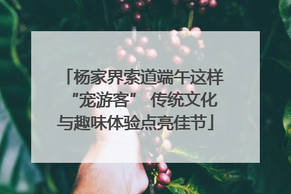 杨家界索道端午这样“宠游客” 传统文化与趣味体验点亮佳节