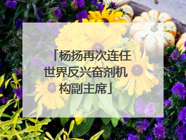 杨扬再次连任世界反兴奋剂机构副主席