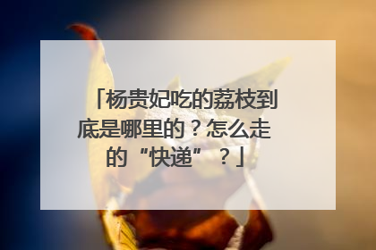 杨贵妃吃的荔枝到底是哪里的？怎么走的“快递”？