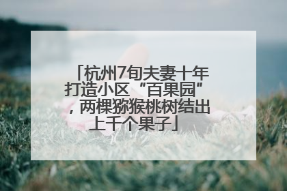 杭州7旬夫妻十年打造小区“百果园”，两棵猕猴桃树结出上千个果子