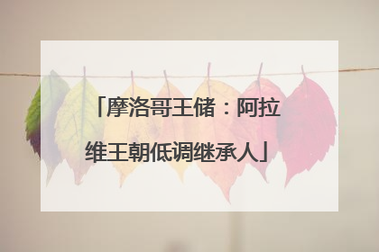 摩洛哥王储：阿拉维王朝低调继承人