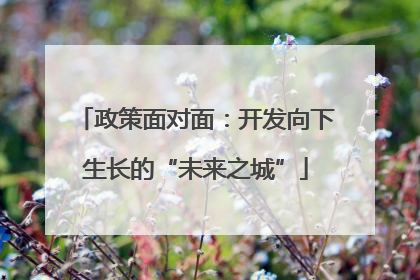 政策面对面：开发向下生长的“未来之城”