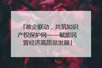 政企联动，共筑知识产权保护网——赋能民营经济高质量发展