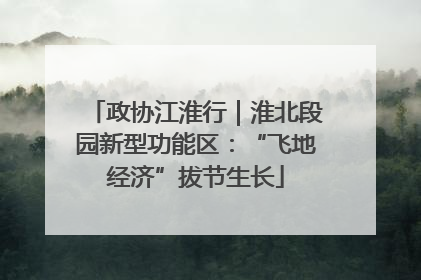 政协江淮行｜淮北段园新型功能区：“飞地经济”拔节生长