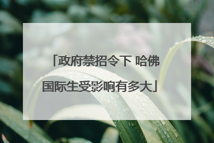 政府禁招令下 哈佛国际生受影响有多大