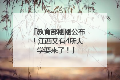 教育部刚刚公布！江西又有4所大学要来了！
