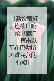 数次驱赶、连续巨响、呛出眼泪——直击以军在巴勒斯坦难民营的行动