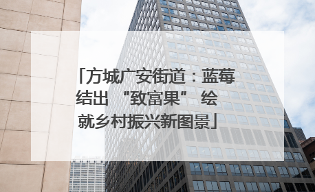 方城广安街道：蓝莓结出 “致富果” 绘就乡村振兴新图景
