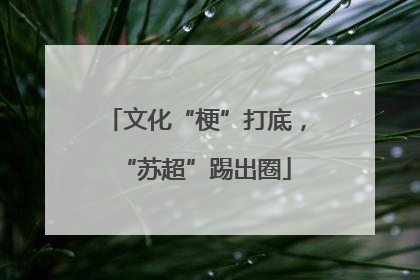 文化“梗”打底，“苏超”踢出圈