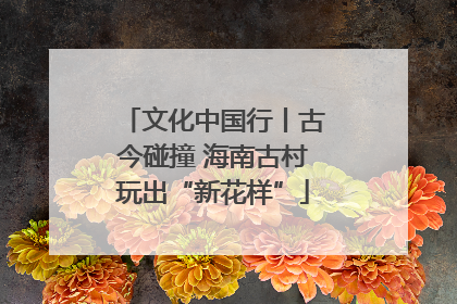 文化中国行丨古今碰撞 海南古村玩出“新花样”