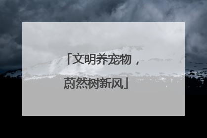 文明养宠物，蔚然树新风