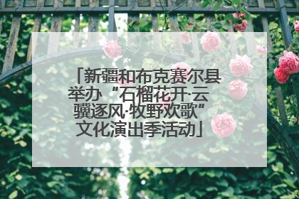 新疆和布克赛尔县举办“石榴花开·云骥逐风·牧野欢歌”文化演出季活动