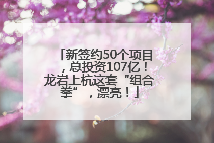新签约50个项目，总投资107亿！龙岩上杭这套“组合拳”，漂亮！