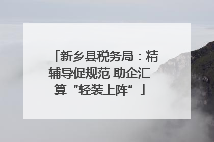新乡县税务局：精辅导促规范 助企汇算“轻装上阵”