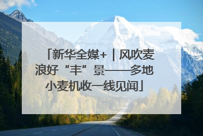 新华全媒+｜风吹麦浪好“丰”景——多地小麦机收一线见闻