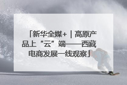 新华全媒+｜高原产品上“云”端——西藏电商发展一线观察