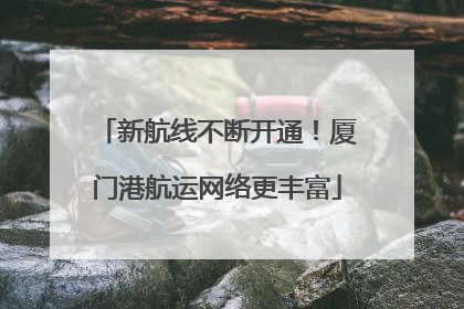 新航线不断开通！厦门港航运网络更丰富
