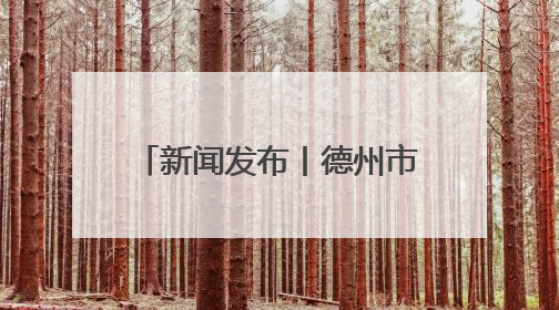 新闻发布丨德州市全面推进综治中心规范化建设 矛盾纠纷化解率达96%