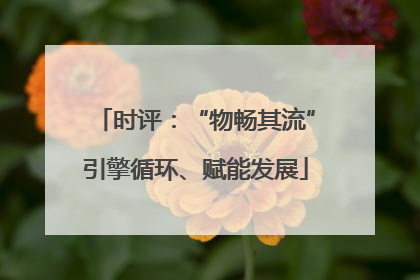 时评：“物畅其流”引擎循环、赋能发展