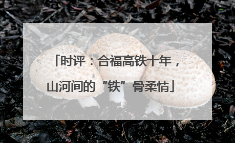 时评：合福高铁十年，山河间的“铁”骨柔情
