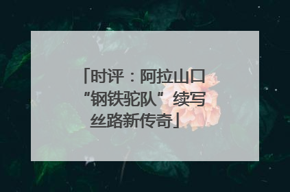 时评：阿拉山口“钢铁驼队”续写丝路新传奇