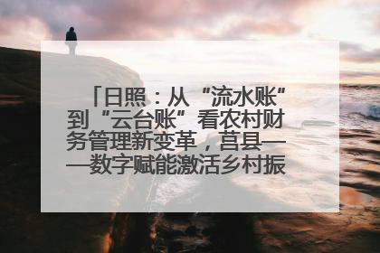 日照：从“流水账”到“云台账”看农村财务管理新变革，莒县——数字赋能激活乡村振兴“一池春水”