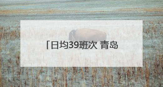 日均39班次 青岛至韩国航线再加密！