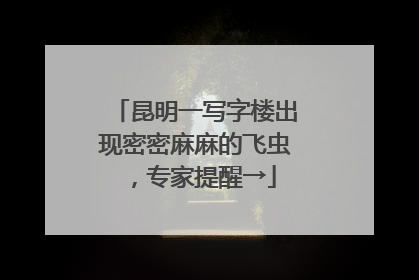 昆明一写字楼出现密密麻麻的飞虫，专家提醒→