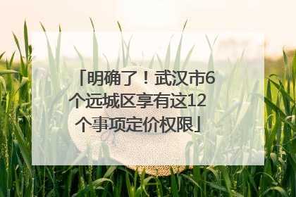 明确了！武汉市6个远城区享有这12个事项定价权限