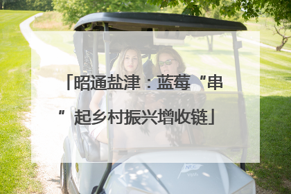 昭通盐津：蓝莓“串”起乡村振兴增收链