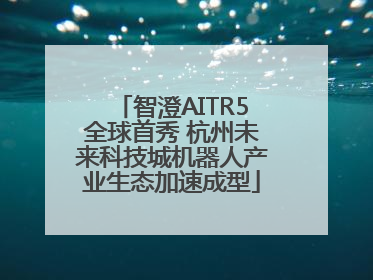 智澄AITR5全球首秀 杭州未来科技城机器人产业生态加速成型